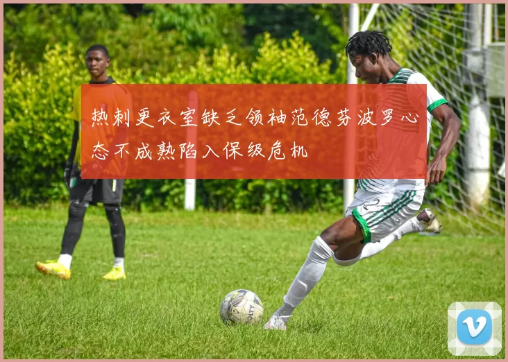 热刺更衣室缺乏领袖范德芬波罗心态不成熟陷入保级危机